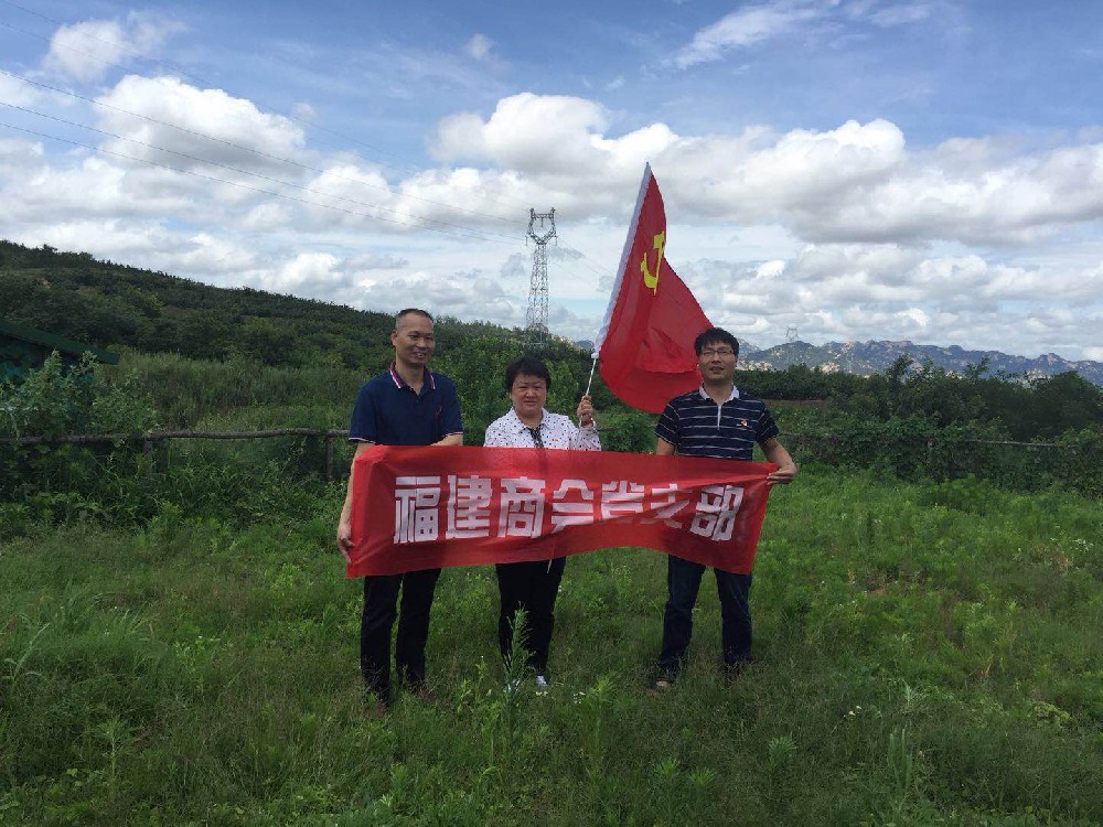 2018年7月1日党建活动