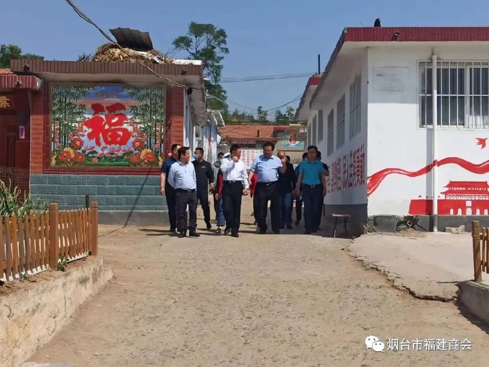 助力乡村振兴 异地闽商在行动