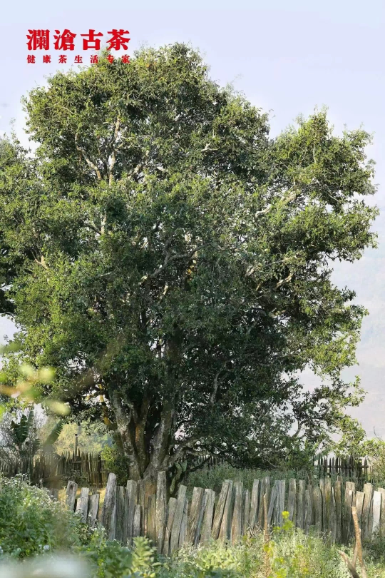 1695088728201913.png 图片 5(1).png