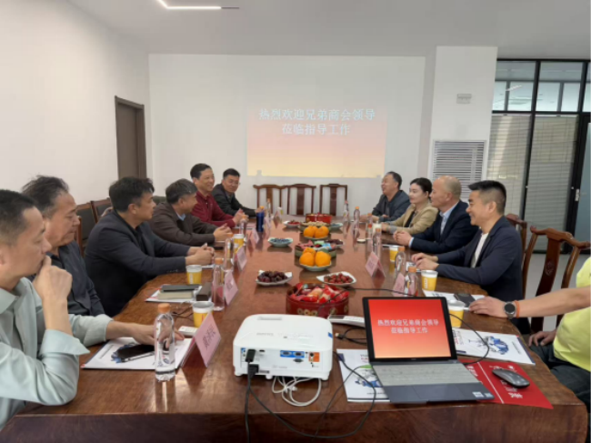 聚力谋发展 交流共前行——各异地商会领导走访我会监事长企业